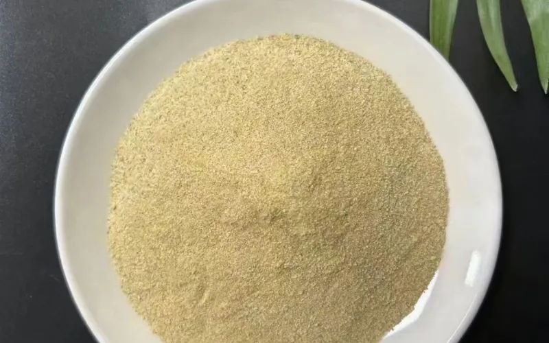 Высокоэффективные бактерии для удаления ДМФ