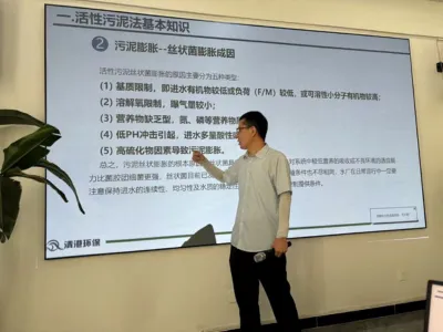 Высокоэффективные бактерии для удаления ДМФ