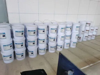 Высокоэффективные бактерии для удаления ДМФ