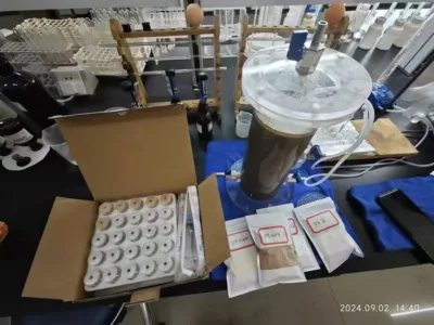 Высокоэффективные бактерии для удаления ДМФ