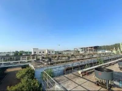 Высокоэффективные аэробные бактерии