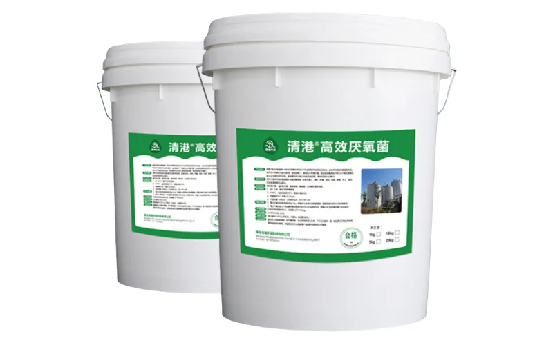 Высокоэффективные анаэробные бактерии