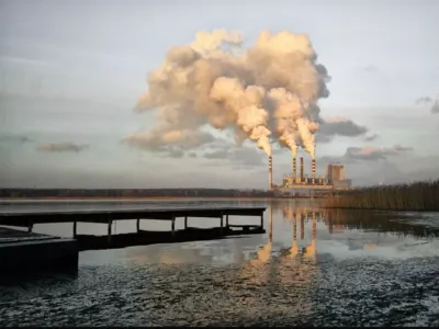 Высокоэффективные анаэробные бактерии