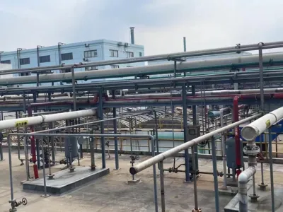 Бактерии для удаления аммиачного азота (автотрофные)