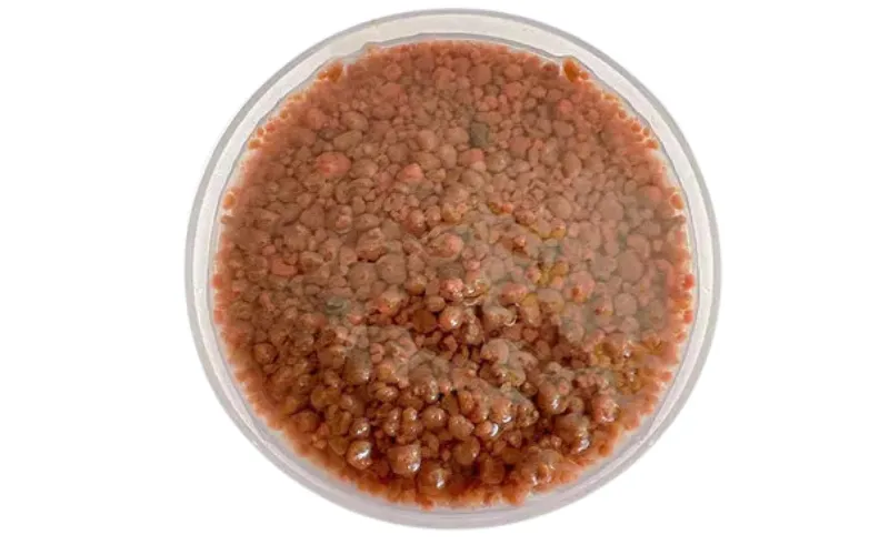 Анаэробный биостимулятор