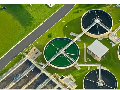 Биодезодорирующие бактерии