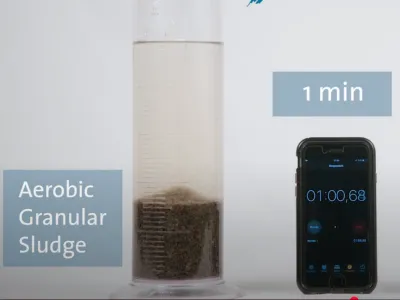 Биодезодорирующие бактерии