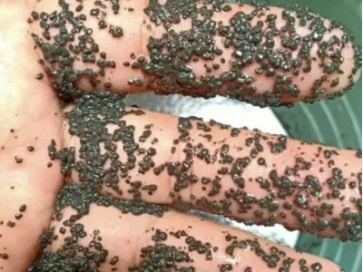 Биодезодорирующие бактерии