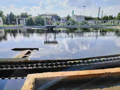 Биодетоксикационные бактерии