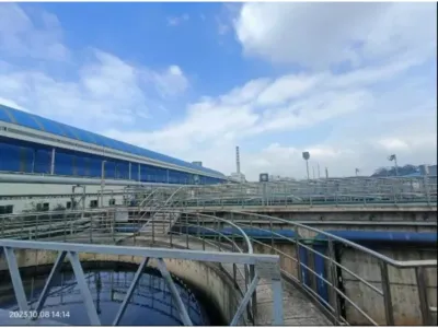 Бактерии гидролитической ацидификации