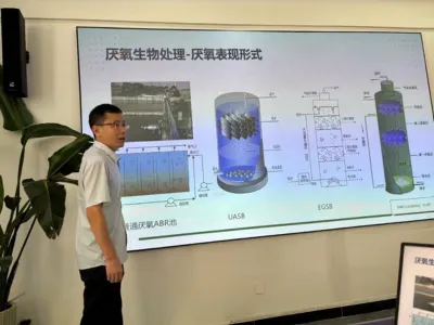 Солетолерантные бактерии для удаления общего азота