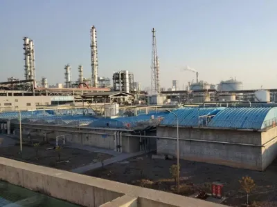 Солетолерантные бактерии для удаления общего азота