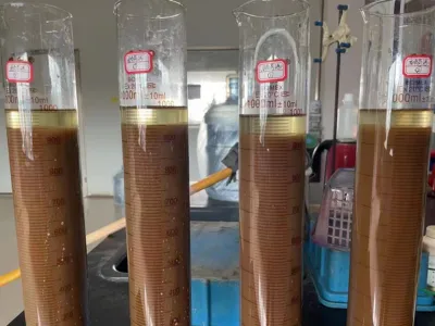 Бактерии для удаления общего азота